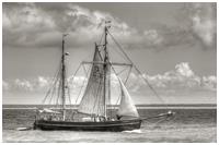 weitere Impressionen von der Hanse Sail 2012